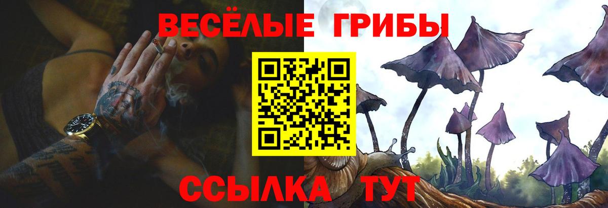 Галлюциногенные грибы Psilocybe Архангельск
